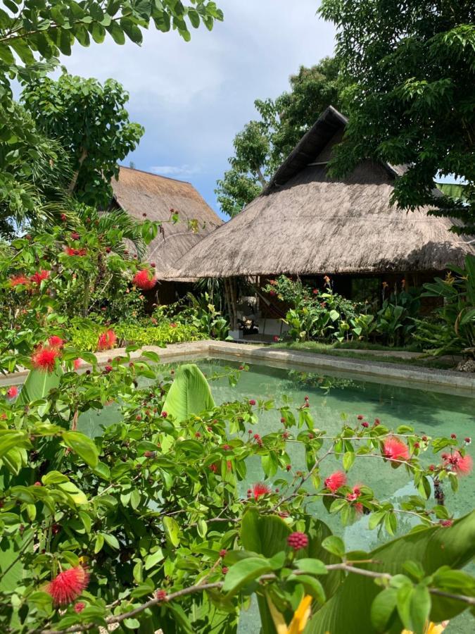 Three Little Birds Resort Анда Экстерьер фото